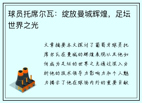 球员托席尔瓦：绽放曼城辉煌，足坛世界之光